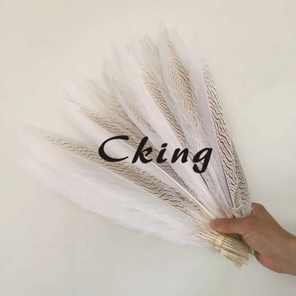 

Free Shipping 50pcs Silver pheasant Feathers 70-75cm white pheasant Chicken Feathers DIY Feathers Cloth accessory