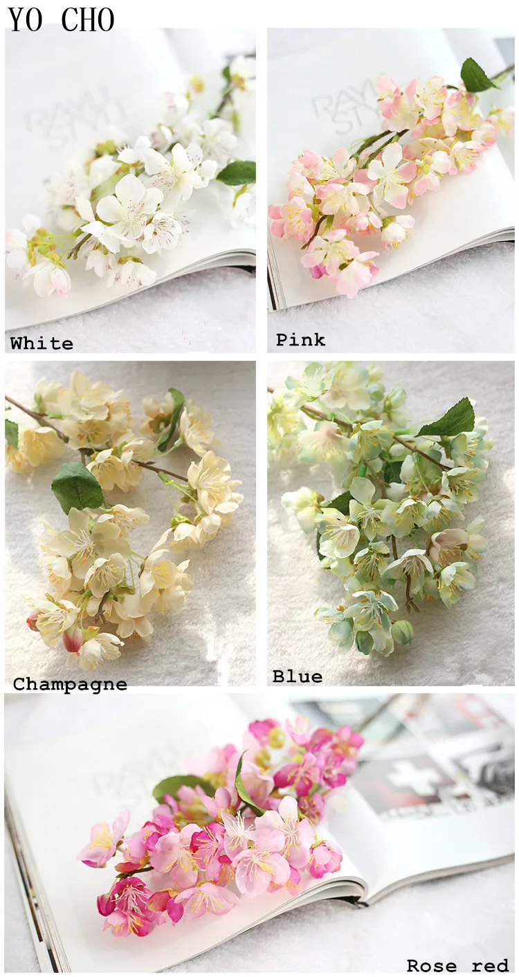 3701535426_1885843273