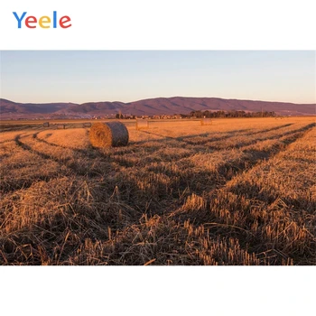 

Yeele Sky Mountain Wheat Harvest Hay Bale Autumn Baby Photography Backgrounds Customized Photographic Backdrops for Photo Studio