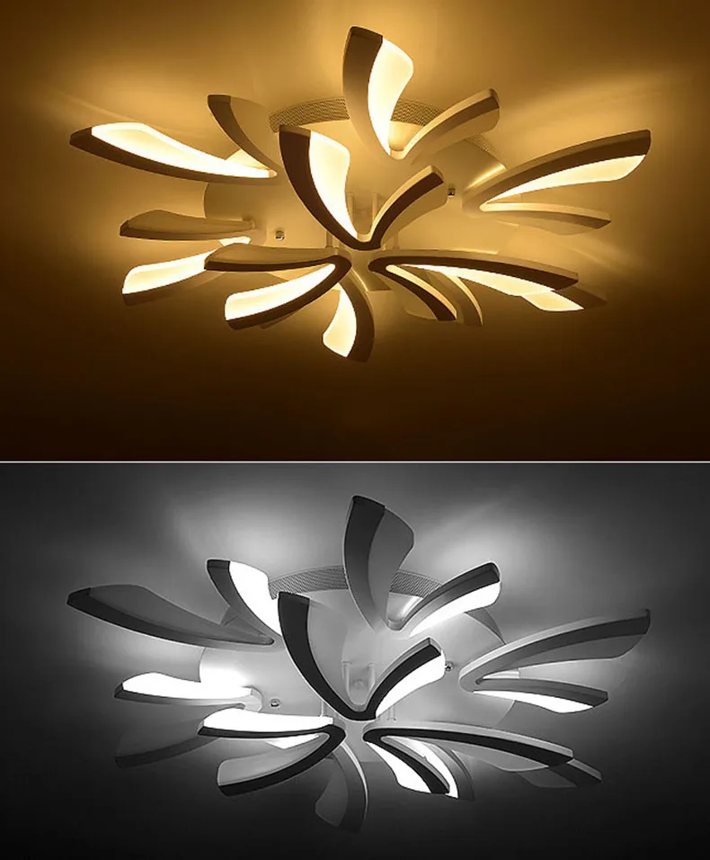 2685775662_1833629700