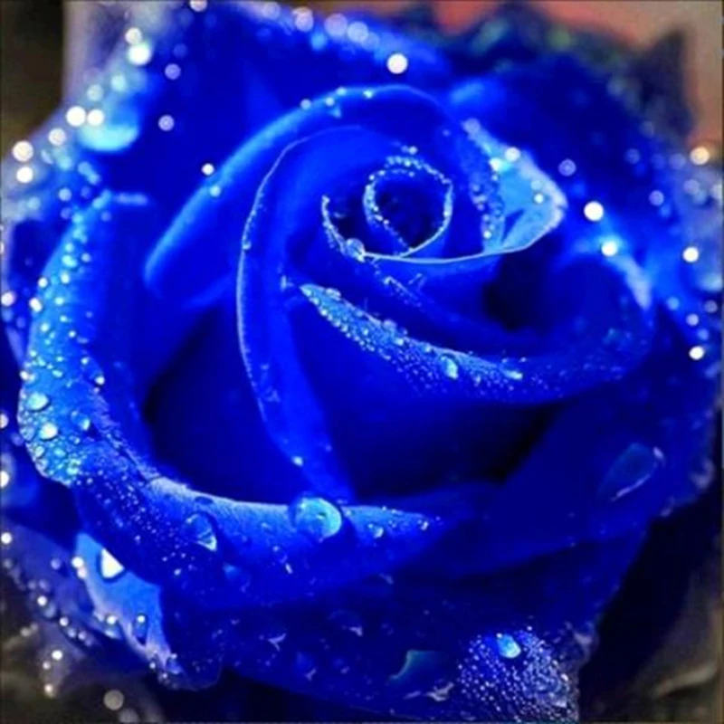 

5D DIY Diamond Painting purple rose flowers Cross Stitch Patterns Full Square Diamond Painting kits for Embroidery Decor