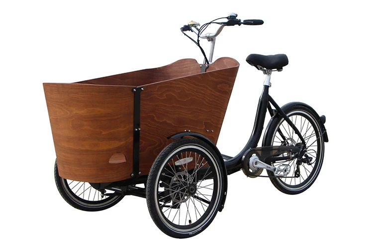 Стиль 3 колеса Электрический Грузовой семейный велосипед для взрослых и детей