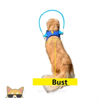 

Blind pet durable anti-collision ring high-quality material wear-resistant and durable dog halo 5 sizes blue