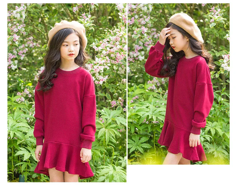 ruffles autumn winter dresses for big girls cotton long sleeve fleece dress baby kids clothes children casual school clothing (11)
