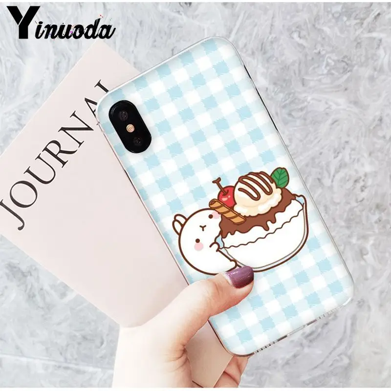 Funny and cute cartoon rabbit