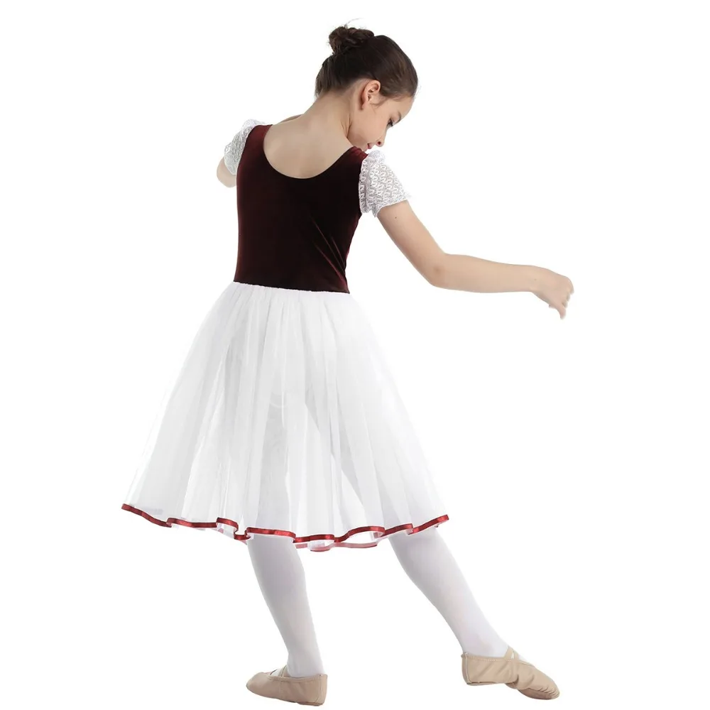 iiniim Kids Girls Professional Ballet Tutu Dress Velvet Mesh Lacework Short Bubble Sleeves Ballet Dance Gymnastics Leotard Dress