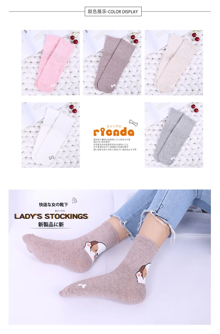 8577583785_259698019