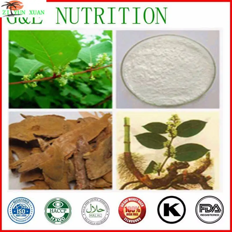 High Quality Resveratrol from Polygonum Cuspidatum Root Extract / Giant