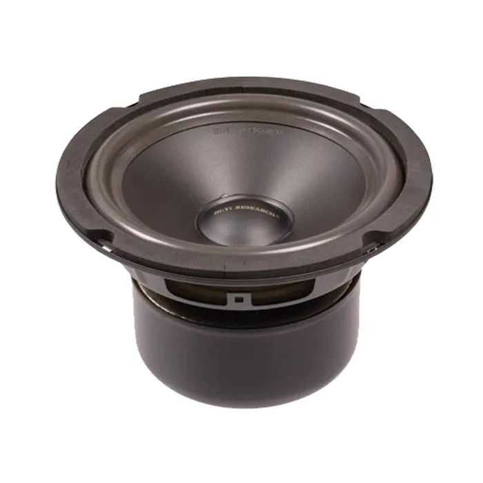 

Delixin AUDIO Fever SS6.5 R 6.5 inch woofer speaker in the unit