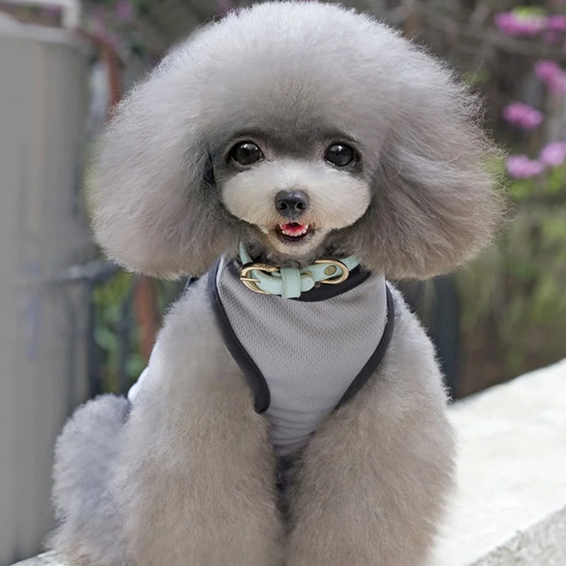 Рубашки для собак Chiwawa одежда Shih Tzu футболка йоркширского терьера домашних