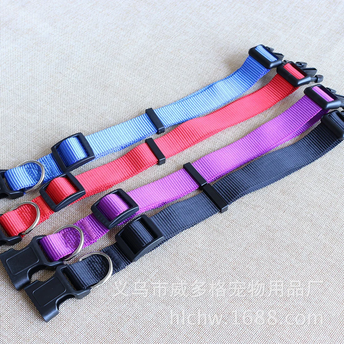 A single plain nylon collar