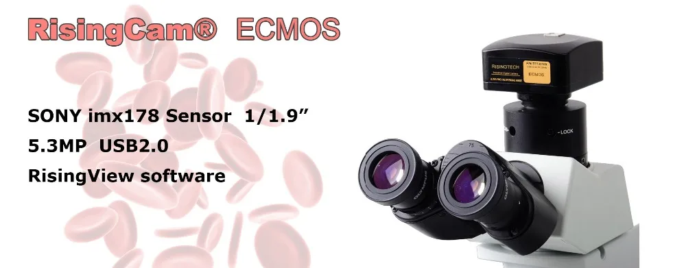 HTB1tZypub1YBuNjSszhq6AUsFXaZ