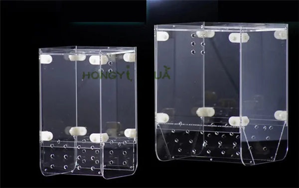 

1 piece glass fishing box catch the fish box feeding circle isolation box triple fit box seawater trap aquarium supplies