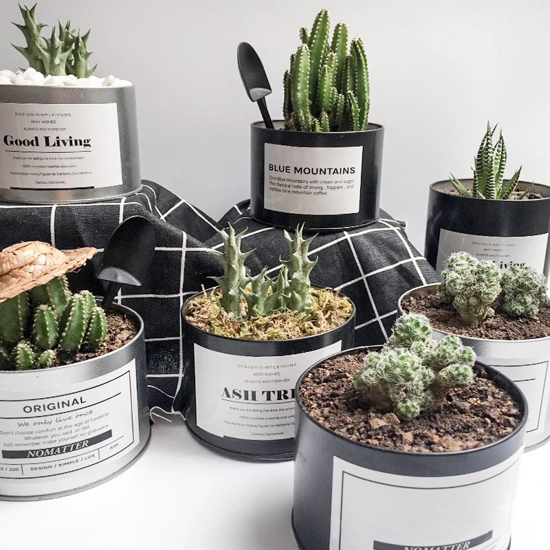 

Scandinavian Metal Pot Plant Pot Simple Iron Flower Pot Storage Tank Iron Pot Home Decorate