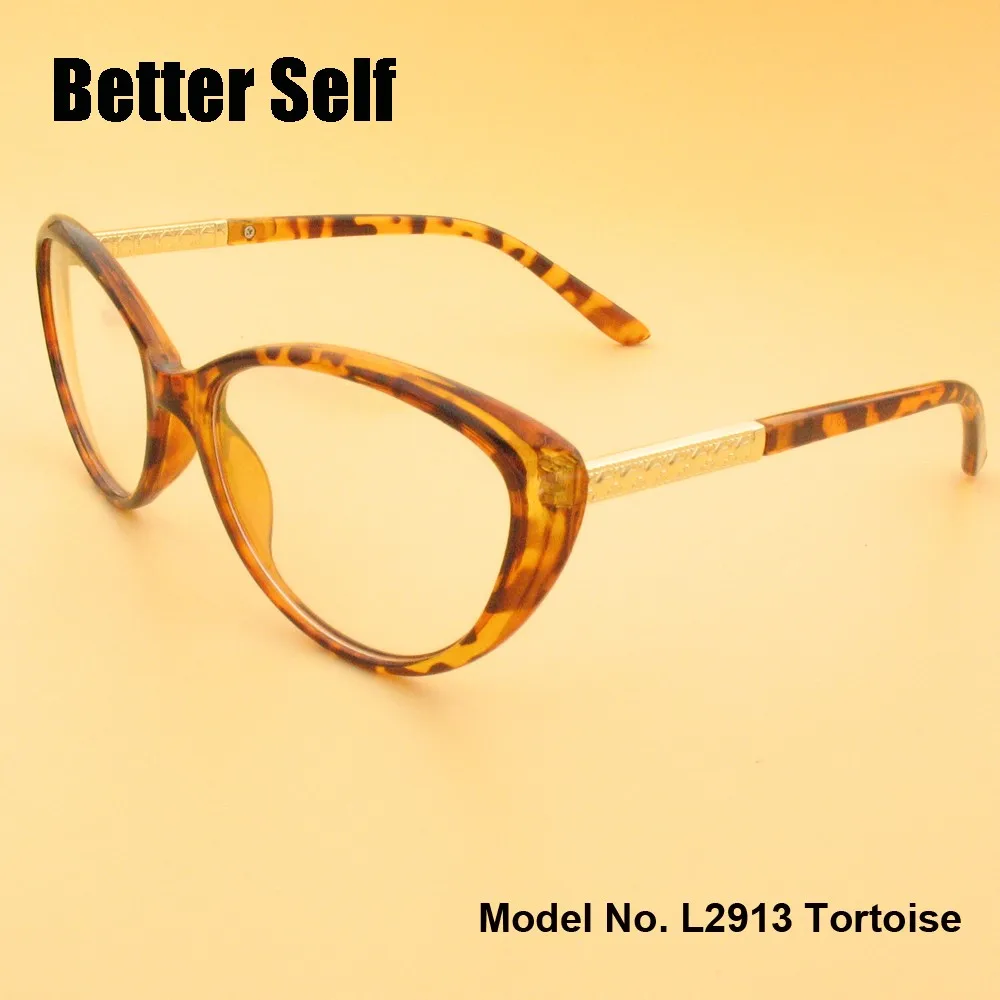L2913-tortoise-side
