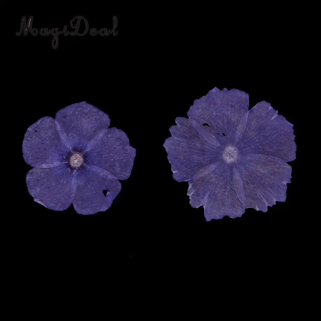 12 Pieces Natural Dried Flowers Real Flower Amaranthus for Kids Craft Card Making DIY Pendants Charms Jewelry