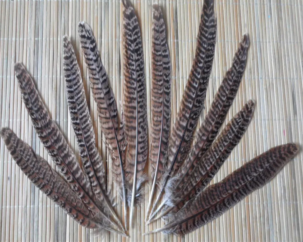 

Wholesale! 100PCS 10-15cm / 4-6inches beautiful natural pheasant feather