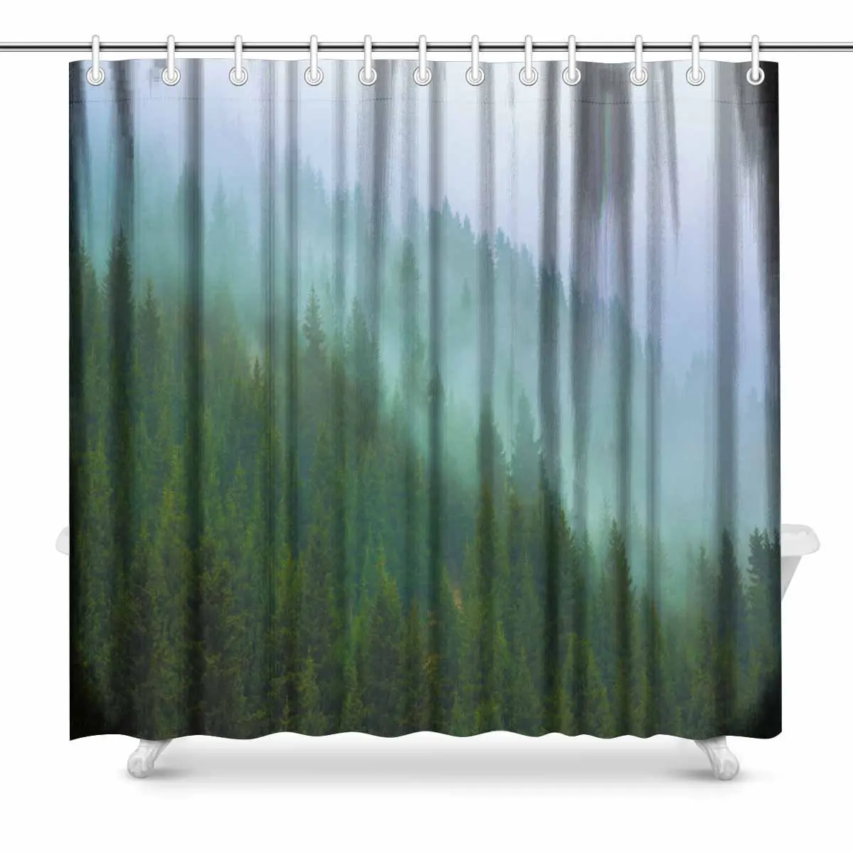 Buy Aplysia Trees in a Fog on the Mountain Evergreen