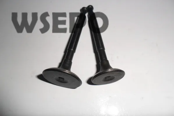 Chongqing Quality! Intake&Exhaust Valves for 152F 2.5HP 97CC Gasoline