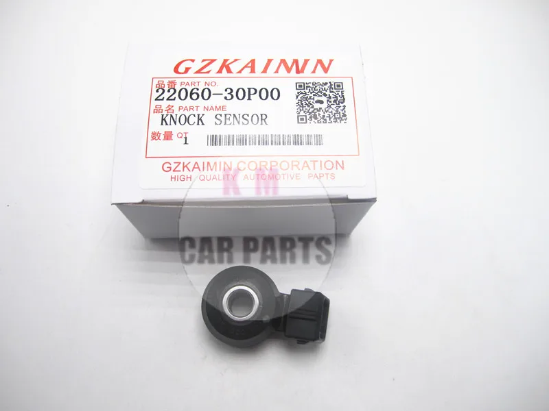 Nissan 22060 30p00