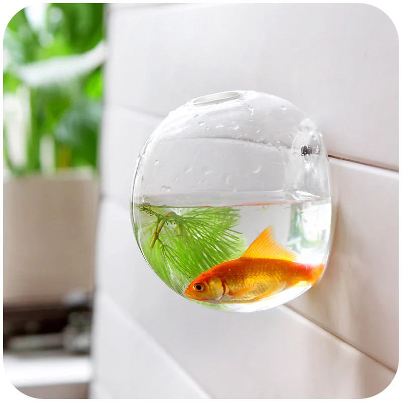 home decoration glass vases wall hanging decorative vases fish bowl aquarium fish tank jar flower vases - Decorative Glass Bowls home decoration glass vases wall hanging decorative vases fish bowl aquarium fish tank jar flower vases - Decorative Glass Bowls