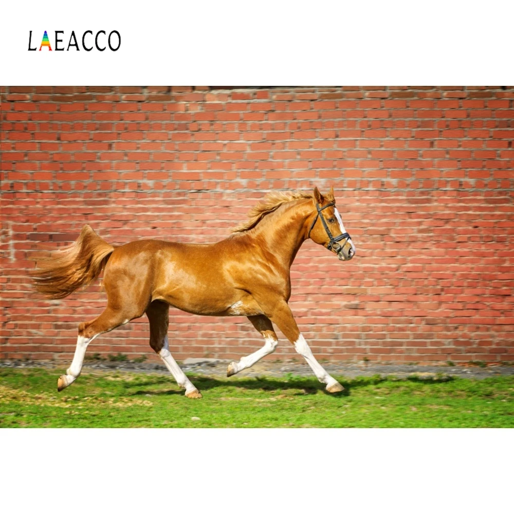 Laeacco الخيول مسرعة مزارع سباق جدار التصوير الخلفيات التصوير التخصيص تخصيص خلفية ل استوديو الصور Laeacco الخيول مسرعة مزارع سباق جدار التصوير الخلفيات التصوير التخصيص تخصيص خلفية ل استوديو الصور