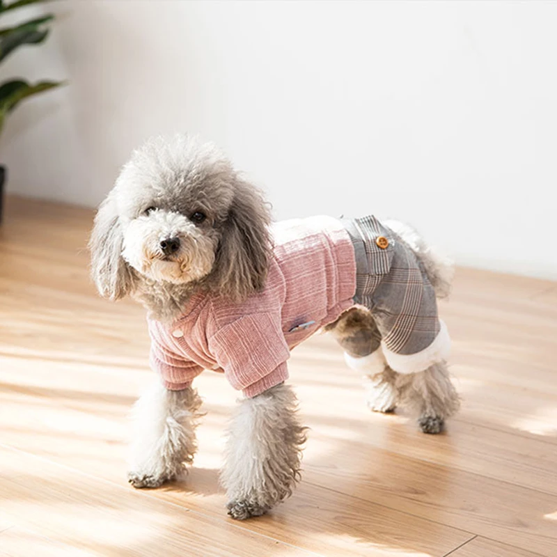 french bulldog sweater (12)