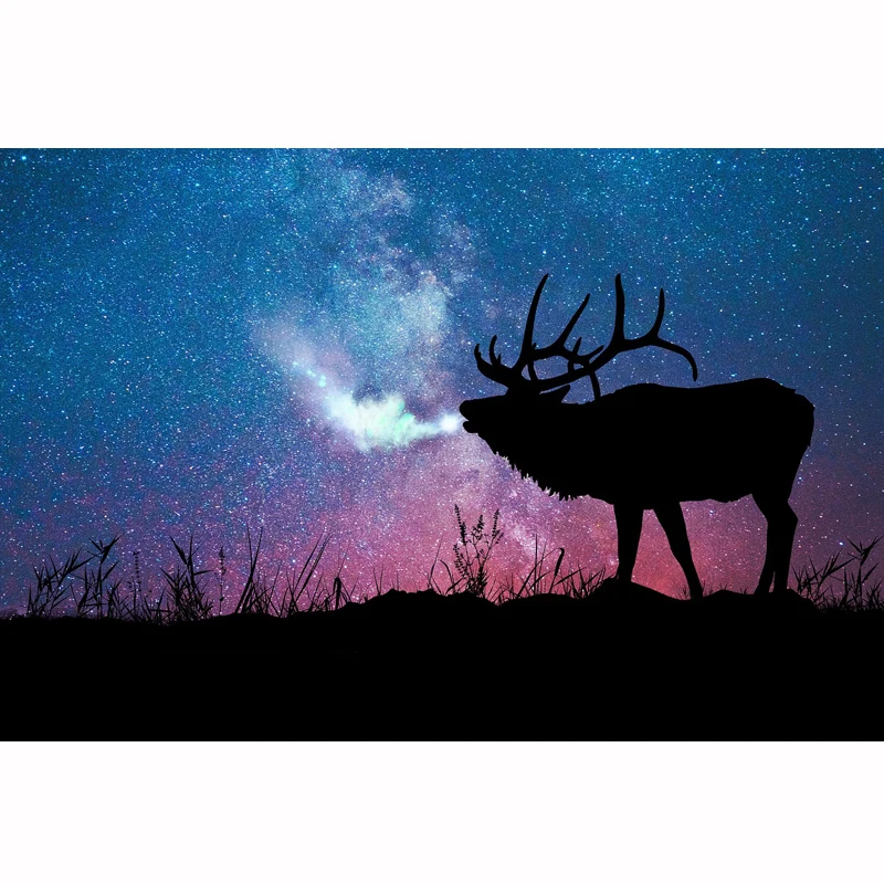 Full Square/Round Drill 5D DIY Diamond Painting &quotCow under the stars&quot 3D Embroidery Cross Stitch Mosaic Rhinestone Decor | Дом и сад