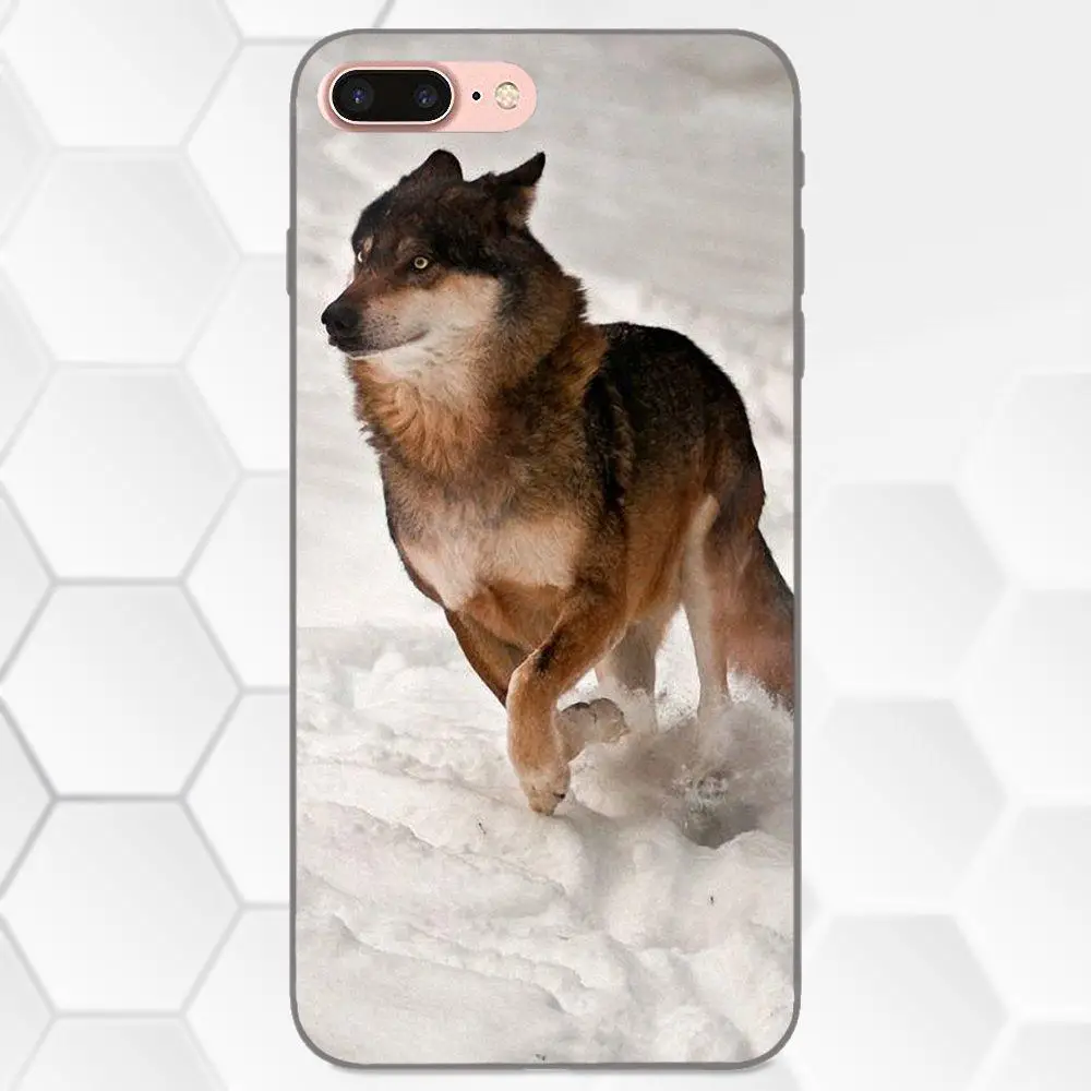 Оболочка Чехол для телефона Apple iPhone 4 4S 5 5S SE 6 6S 7 8 Plus X XS Max XR Wolf Running|Бамперы| |