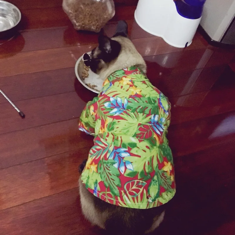 Bigeyedog Собачья Рубашка летняя одежда для собак кошек Одежда Щенок Чихуахуа Мопс Одежда Пудель Йоркширский терьер Одежда для собак Одежда