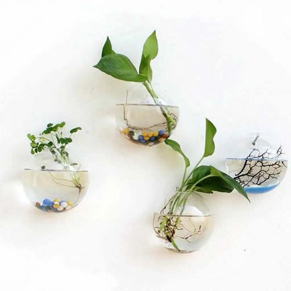 6 стеклянных плантаторов стены Висячие клумбы круглые воздушные растения горшки настенный контейнер для растений