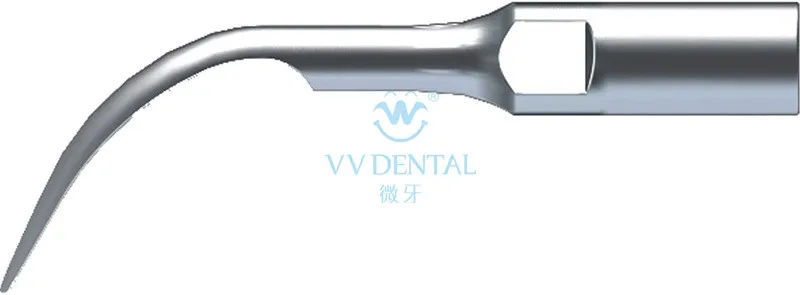 GD1 (3)