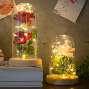 

20-LED Night Light String light & 2PCS Artificial Silk Rose with Glass Lampshade Bedroom Bookcase Home Decor Creative Gift