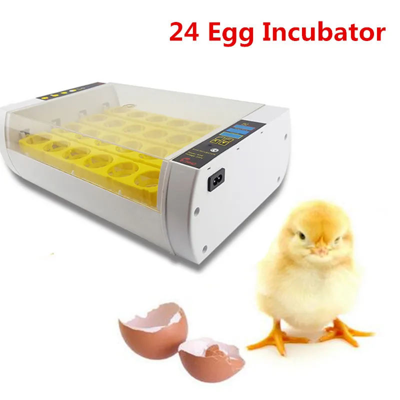 

24 eggs chicken duck goose turkey egg incubator mini family style hatchery machine industrial eggs incubator