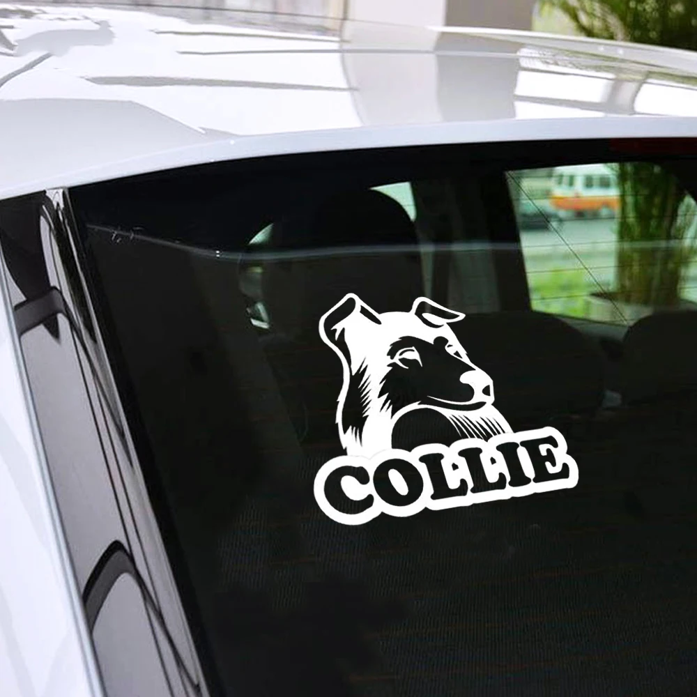 14.4*12.7cm Collie Cute Dog Car Animals Stickers High Quality Vinyl Decals Motorcycle Car Styling Car Accessories 14.4*12.7cm Collie Cute Dog Car Animals Stickers High Quality Vinyl Decals Motorcycle Car Styling Car Accessories