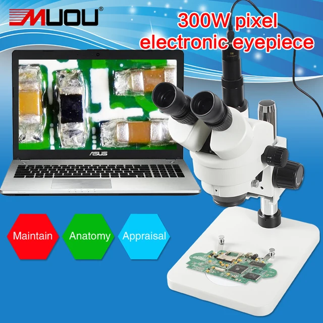 Connect with computer 10X 10X Trinocular Industry Inspection USB ...