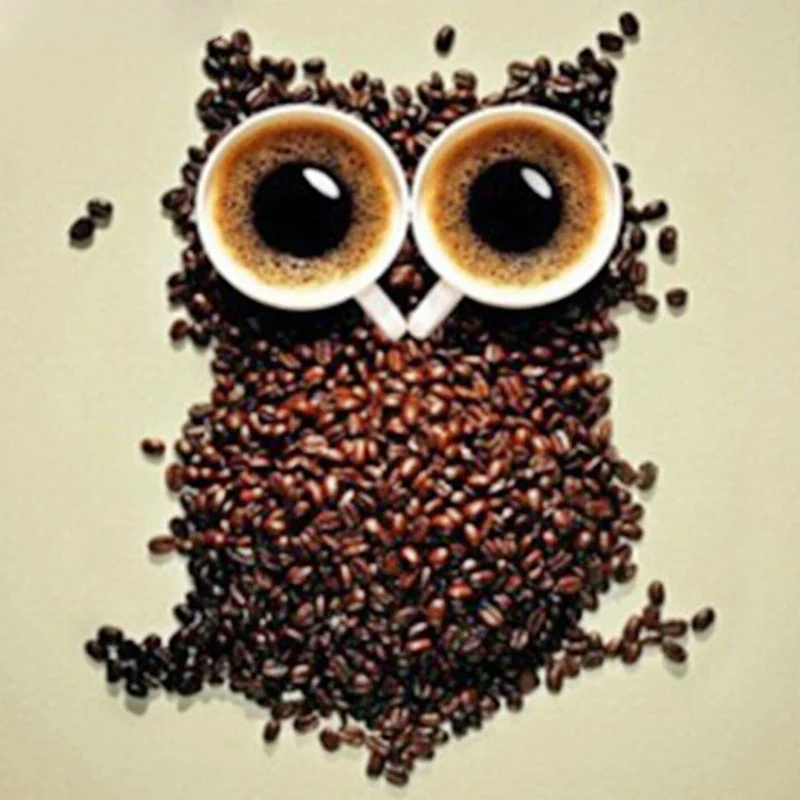 

100% Full 5D Diy Daimond Painting Coffee Owl 3D Diamond Painting Round Rhinestones Full Diamant Painting Embroidery