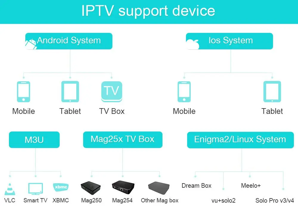 Реселлер 6000Live+ 7900VODs 1 год IP tv M3U Smart tv Android взрослая панель управления IP tv Fance Португалия Бельгия Франция Испания Великобритания