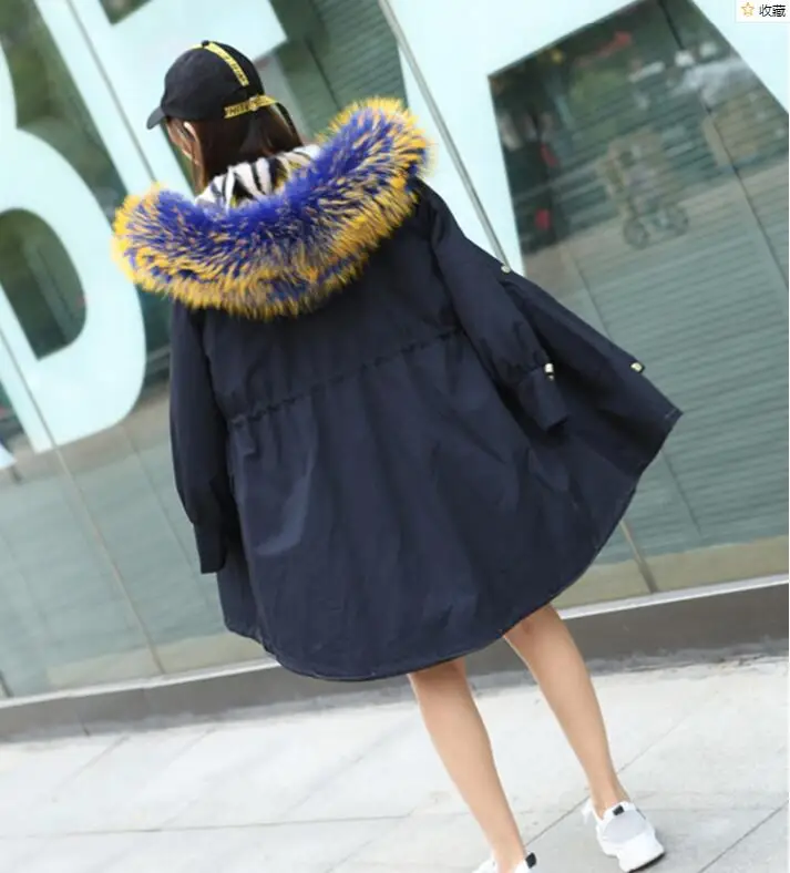 QQ20181211150901