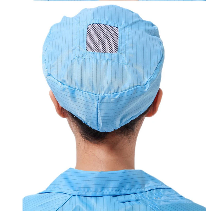 2939009235_1338119100