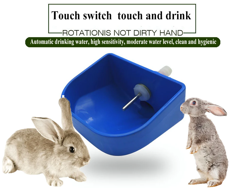 10421183748_1289831511