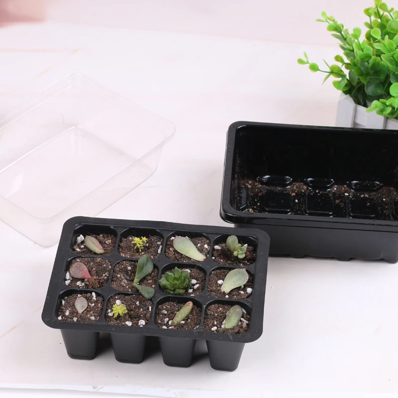 Seed Tray Seedling Starter Trays Plant Grow Starting