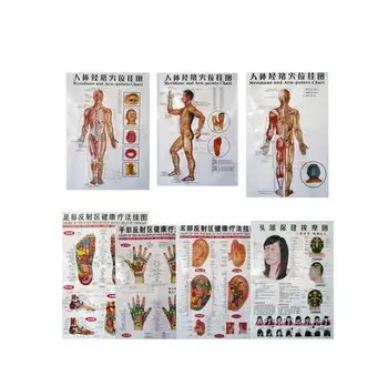 

7 pcs clear body chart internal organs Chinese meridian acupuncture teaching health care wall chart