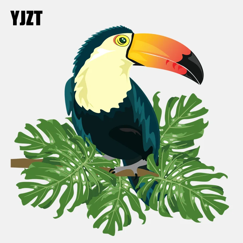 

YJZT 16.5CM*15.9CM Stylish Colored Toucan PVC Motorcycle Car Sticker 11-01492