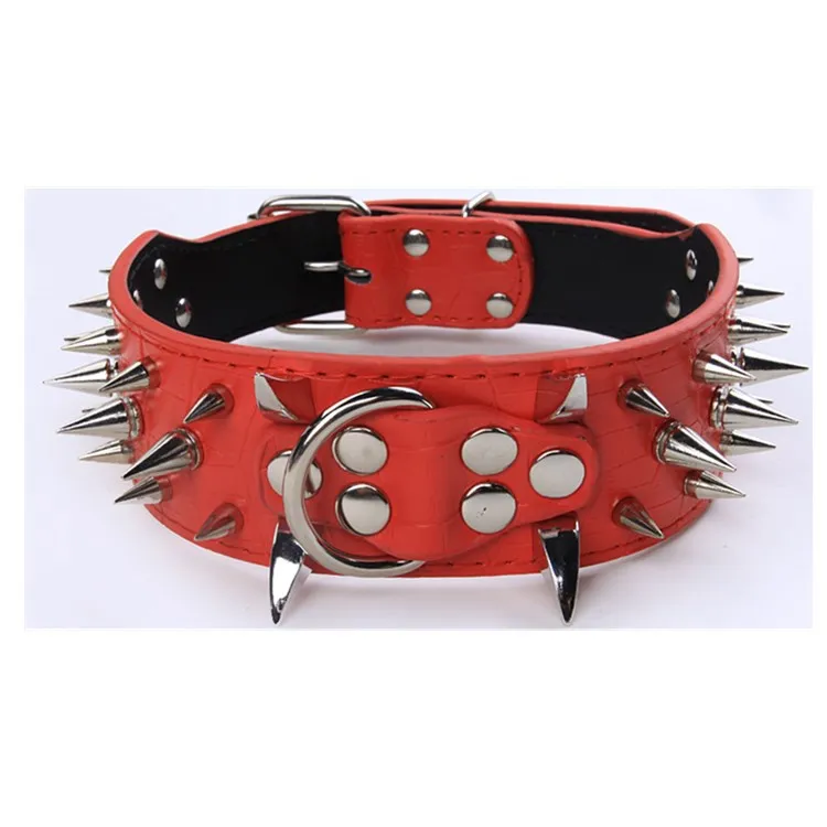 Dog Collars (5)
