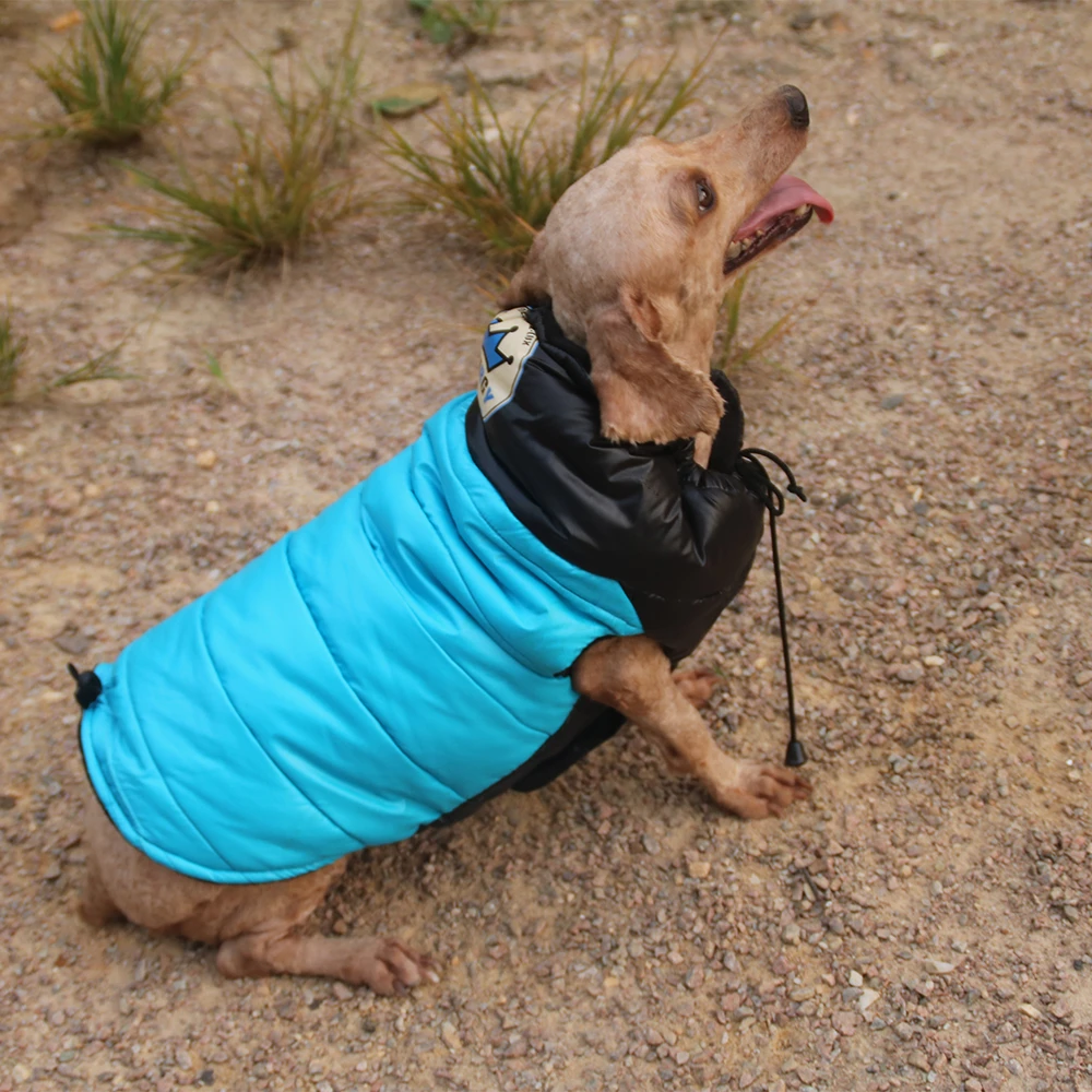 xxl dog jacket