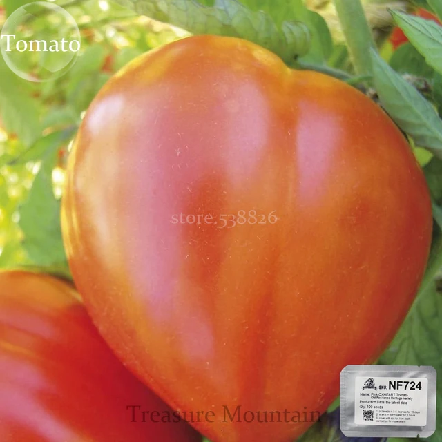 Фамильные розовый OXHEART томатный органическая семена, Профессиональная упаковка, 100 семена / упаковки, Старомодный наследия различных овощных культур # NF724