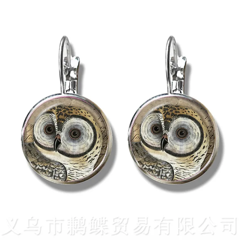 Owl Pattern Classic Stud Earrings Insect Art Picture 16mm Glass Cabochon Dome Silver Plated For Women Girls Gift | Украшения и