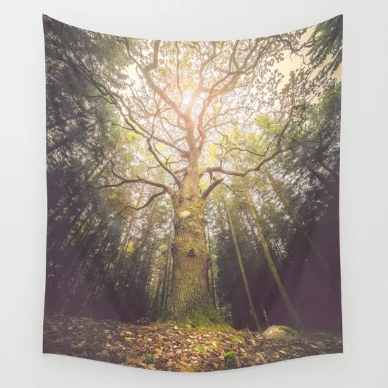 3954519000_284926388