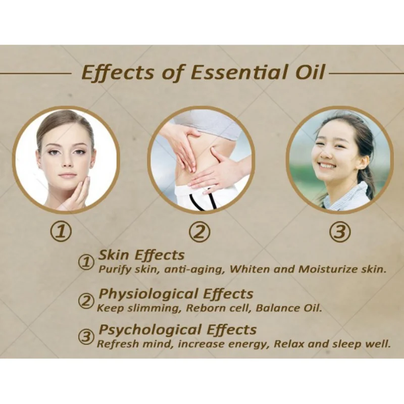 Online Perawatan Kulit Alami Bergizi Organik Dingin Ditekan Minyak Jojoba Essence Jojoba Perawatan Dasar Minyak Esensial YK SQ41